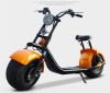 harley 1000w lithium electric bicycle electric sco